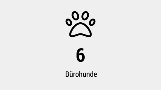 6 Bürohunde