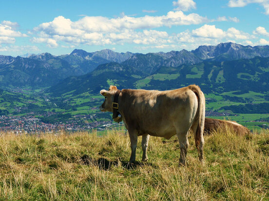 Betriebsratsschulung in Sonthofen
