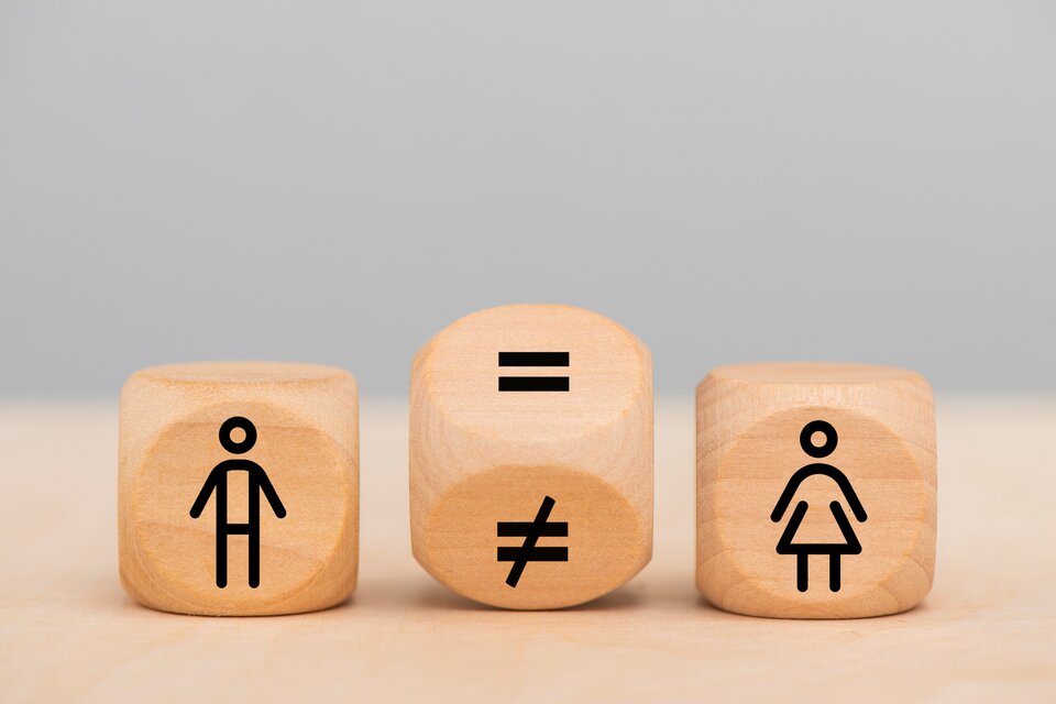 Holzwürfel Männer und Frauen Holzwürfel Männer und Frauen