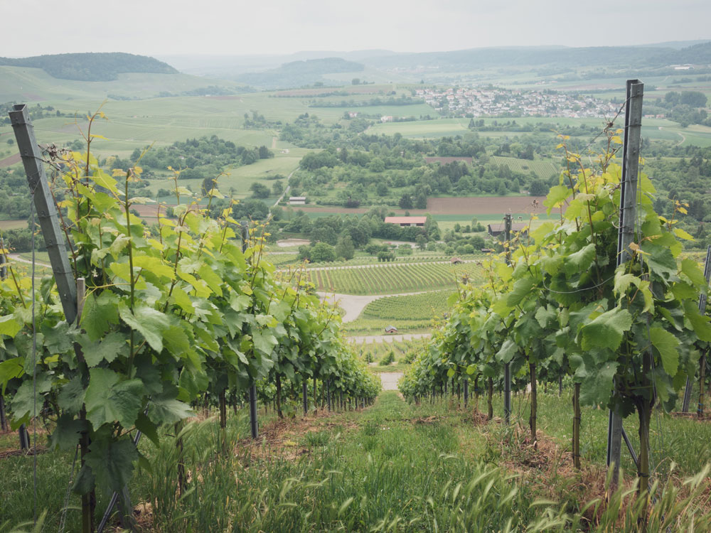 Betriebsrat Seminare in Neckarsulm