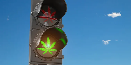 Ampel wo ein grünes und ein rotes Cannabisblatt zu sehen ist Ampel wo ein grünes und ein rotes Cannabisblatt zu sehen ist