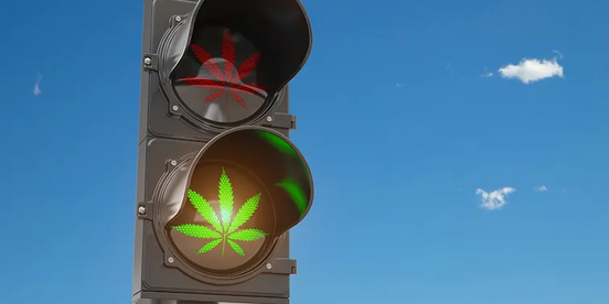 Ampel wo ein grünes und ein rotes Cannabisblatt zu sehen ist
