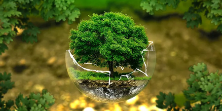 Glaskugel vor grünem Baum - wie kann Nachhaltigkeit im Unternehmen umgesetzt werden Glaskugel vor grünem Baum - wie kann Nachhaltigkeit im Unternehmen umgesetzt werden